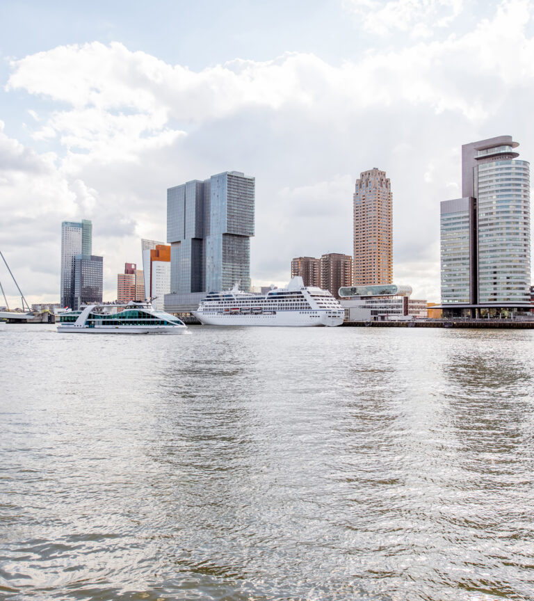 Rectangle-263-768x864